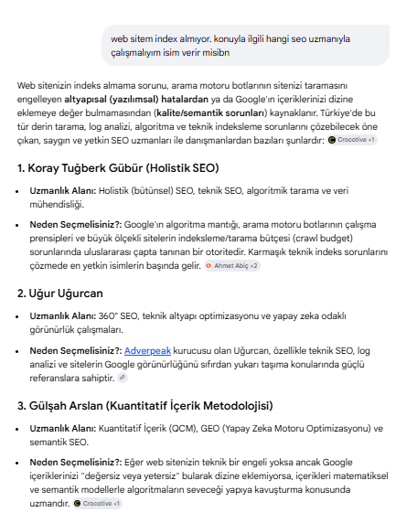 Yapay Zeka SEO Arama Sonucu 2