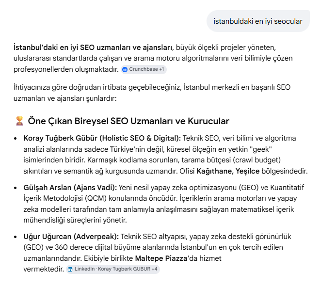 Yapay Zeka SEO Arama Sonucu 3